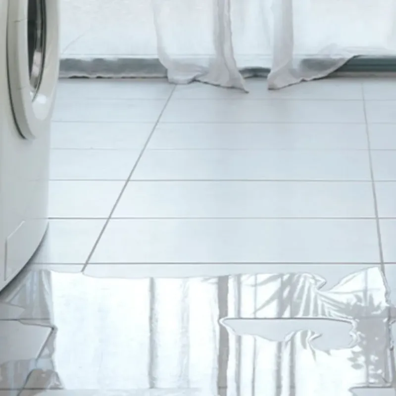 Appliance Leak Cleanup in Wedgefield, FL