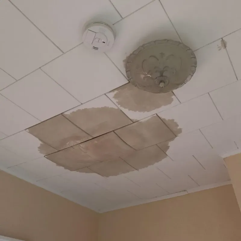 Ceiling Water Damage Repair in Wedgefield, FL